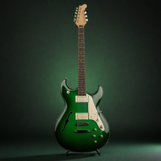 1000024529